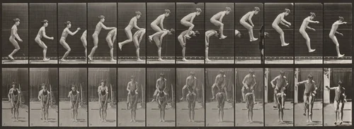 Plate Number 168. Jumping over a boy's back (leapfrog) by Eadweard Muybridge, photograph, 1887