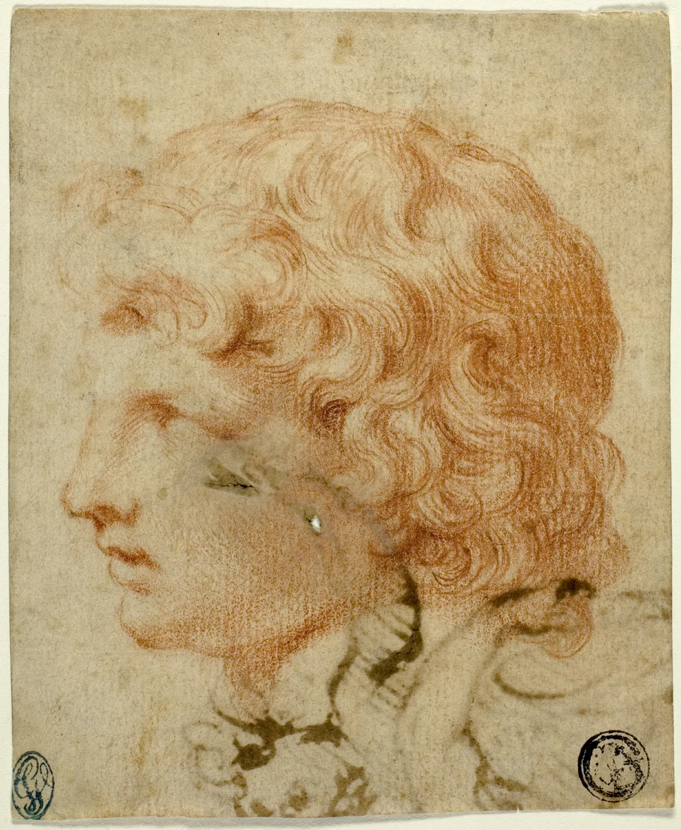Head of Youth in Profile to Left (recto); Fragment of Figure Sketch (verso) by Pietro da Cortona, drawing, 1600-1699