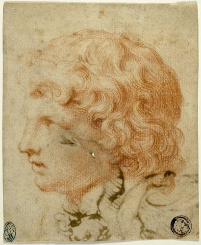 Head of Youth in Profile to Left (recto); Fragment of Figure Sketch (verso) by Pietro da Cortona, drawing, 1600-1699