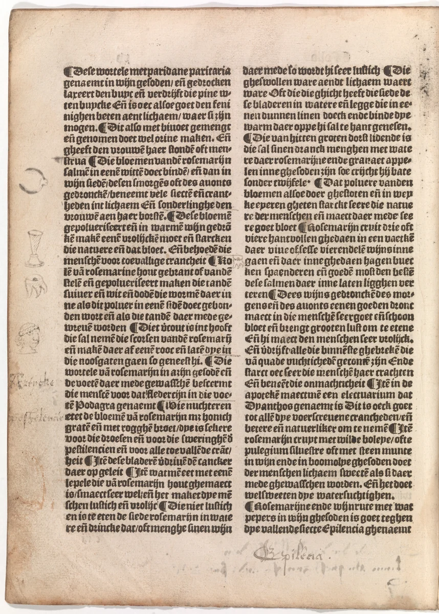 De(n) grote(n) herbari met al sijn figuere(n) by Claes de Grave, book, 1526