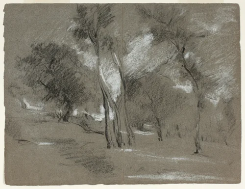 Landscape with Trees by Jean Baptiste Carpeaux, drawing, 1847-1875
