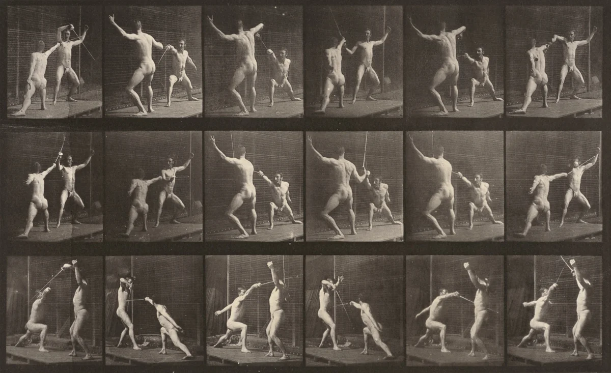 Plate Number 350. Fencing by Eadweard Muybridge, photograph, 1887