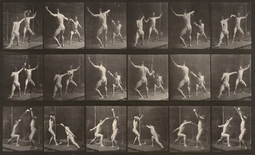 Plate Number 350. Fencing by Eadweard Muybridge, photograph, 1887