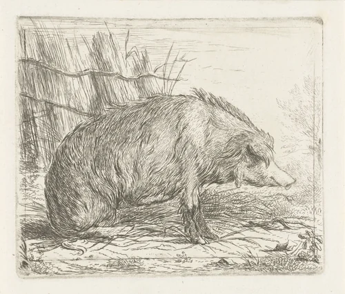 Zittend everzwijn by Jacobus Cornelis Gaal, print, 1851