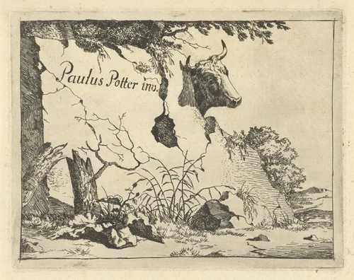 Kop van rund achter rots by Marcus de Bye, print, 1649-1677