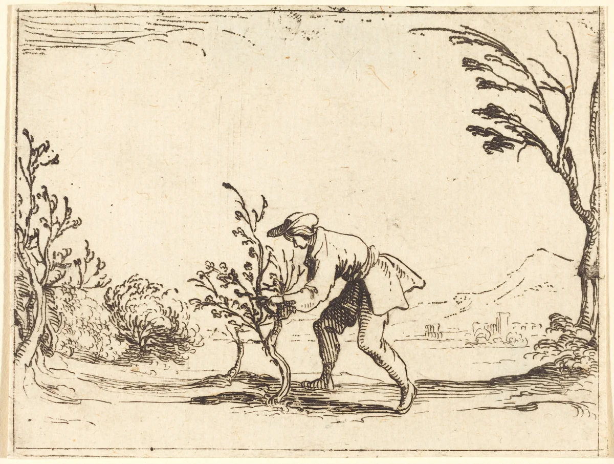 Man Cutting a Balm-Tree by Jacques Callot, print, 1592-1635
