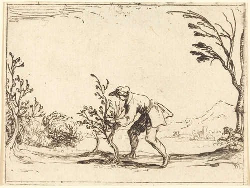 Man Cutting a Balm-Tree by Jacques Callot, print, 1592-1635