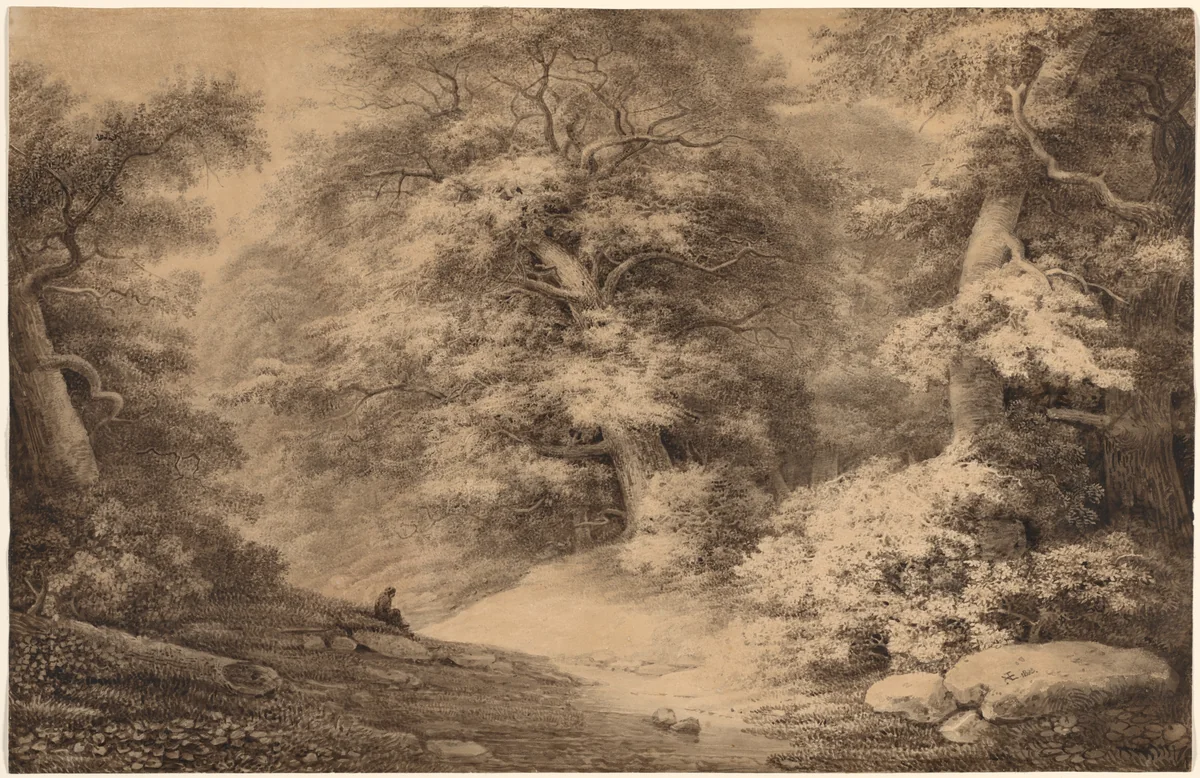A Beech Wood with a Resting Traveler by Christoph Nathe, drawing, 1803