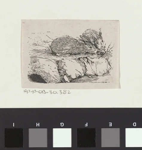 Twee konijnen by Isaac Weissenbruch, print, 1836-1912