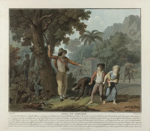 The Fugitive Slave, plate 2 from Paul et Virginie by Charles Melchior Descourtis, print, 1795