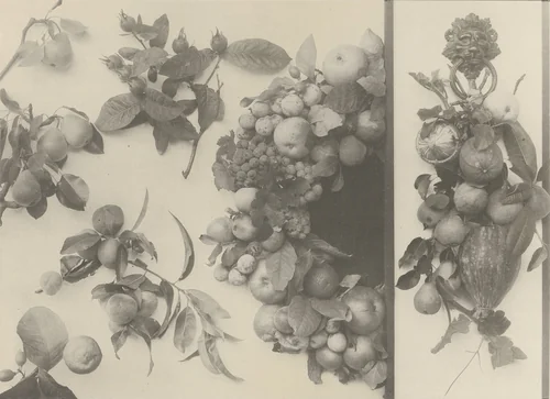 Page from Festons und Dekorative Gruppen by Unidentified Photographer, photograph, 1893