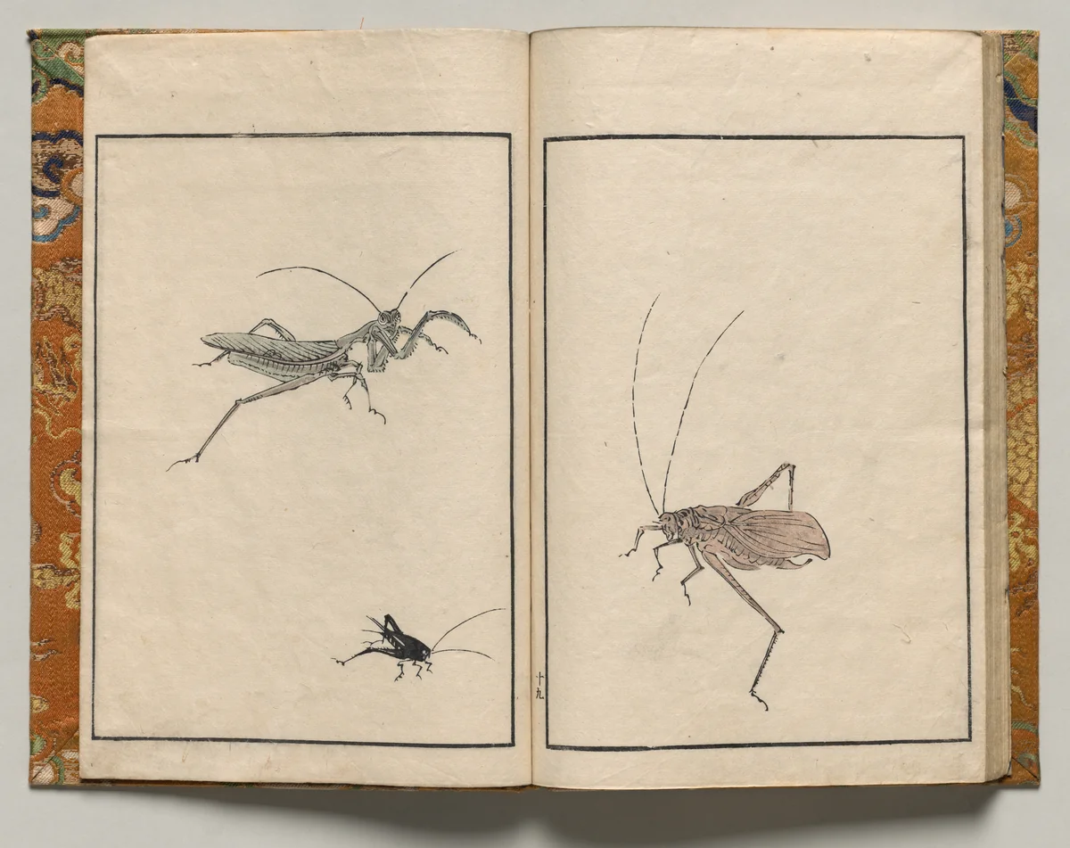 Crickets, Design Nineteen from Shazanrō Picture Book by Tani Bunchō (谷文晁), book, 1816
