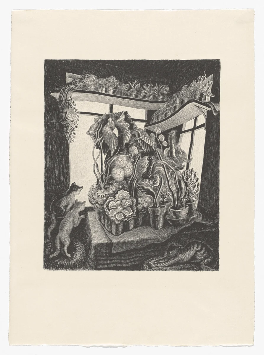 Winter Garden by Wanda Gág, print, 1935