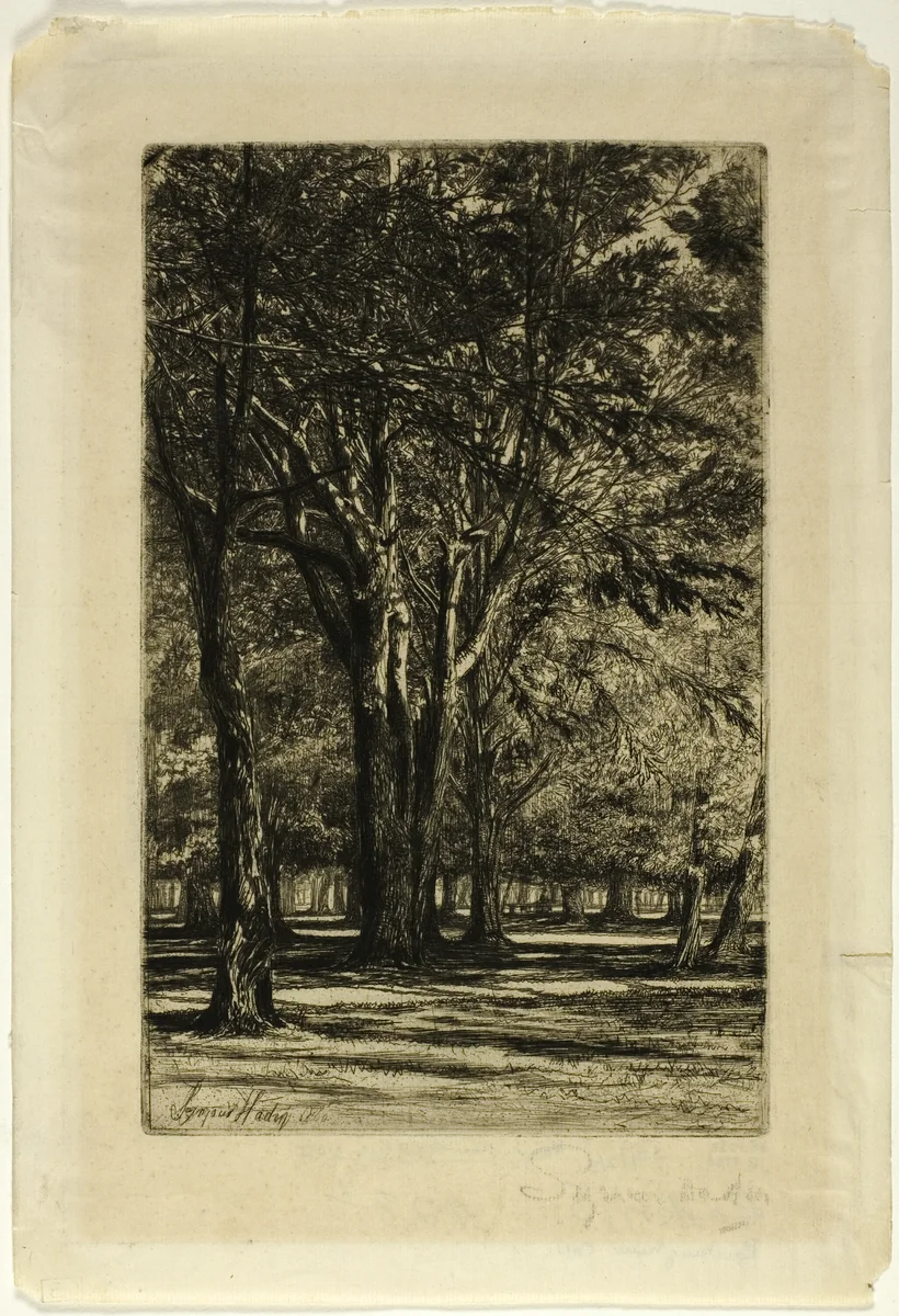 Kensington Gardens, No. II (large plate) by Francis Seymour-Haden, print, 1860