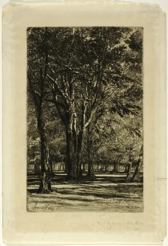 Kensington Gardens, No. II (large plate) by Francis Seymour-Haden, print, 1860
