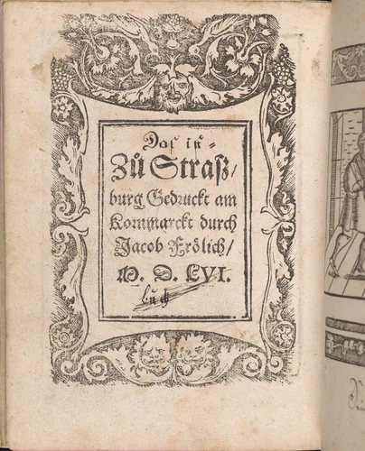 New Modelbüch allen Nägerin u. Sydenstickern (Page 27v) by Hans Hoffman, book, 1556