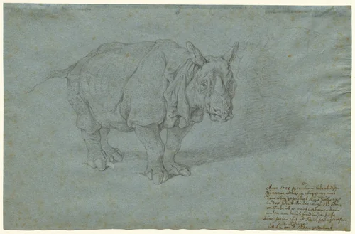 The Rhinoceros "Miss Clara" by Johann Elias Ridinger, drawing, 1748