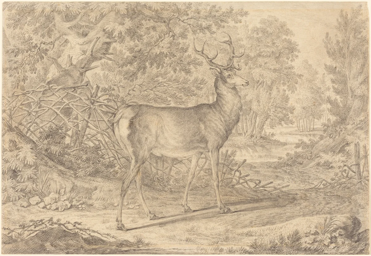 A Splendid Young Stag before a Wattle Fence by Johann Elias Ridinger, drawing, 1736