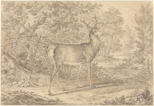 A Splendid Young Stag before a Wattle Fence by Johann Elias Ridinger, drawing, 1736