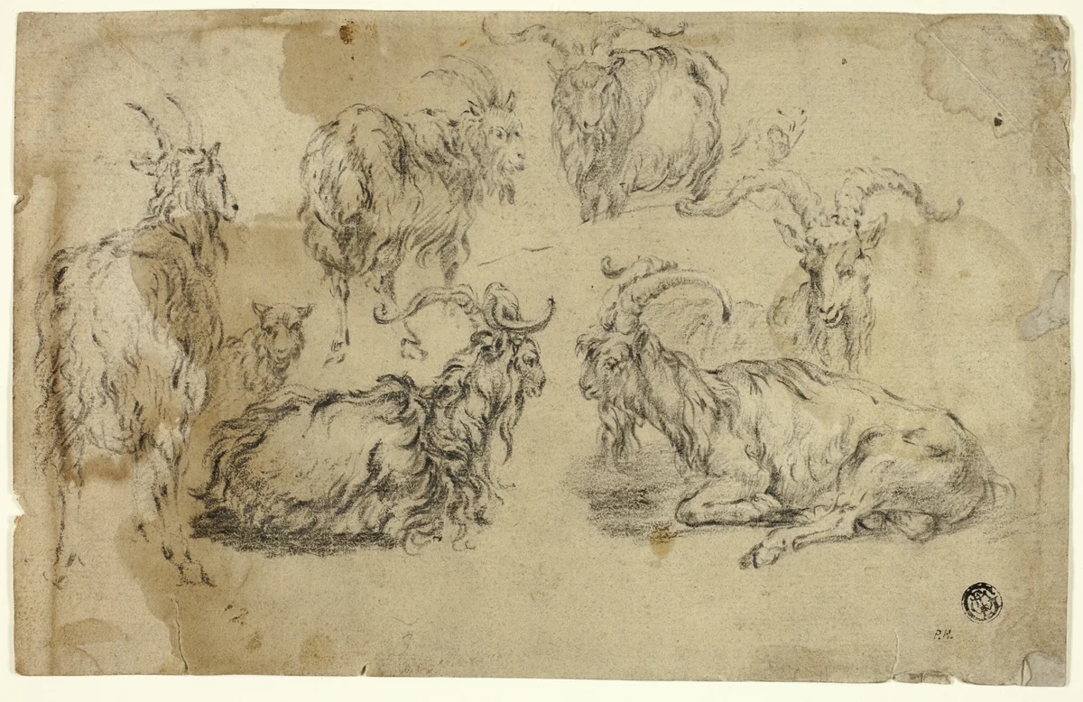 Sketches of Goats by Johann Gottlieb Hackert, drawing, 1764-1773