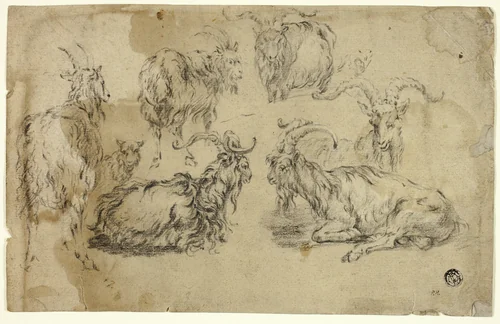 Sketches of Goats by Johann Gottlieb Hackert, drawing, 1764-1773