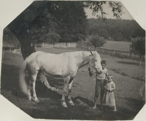 [Thomas Eakins's Horse Billy and Two Crowell Children at Avondale, Pennsylvania] by Thomas Eakins, photograph, 1890-1894