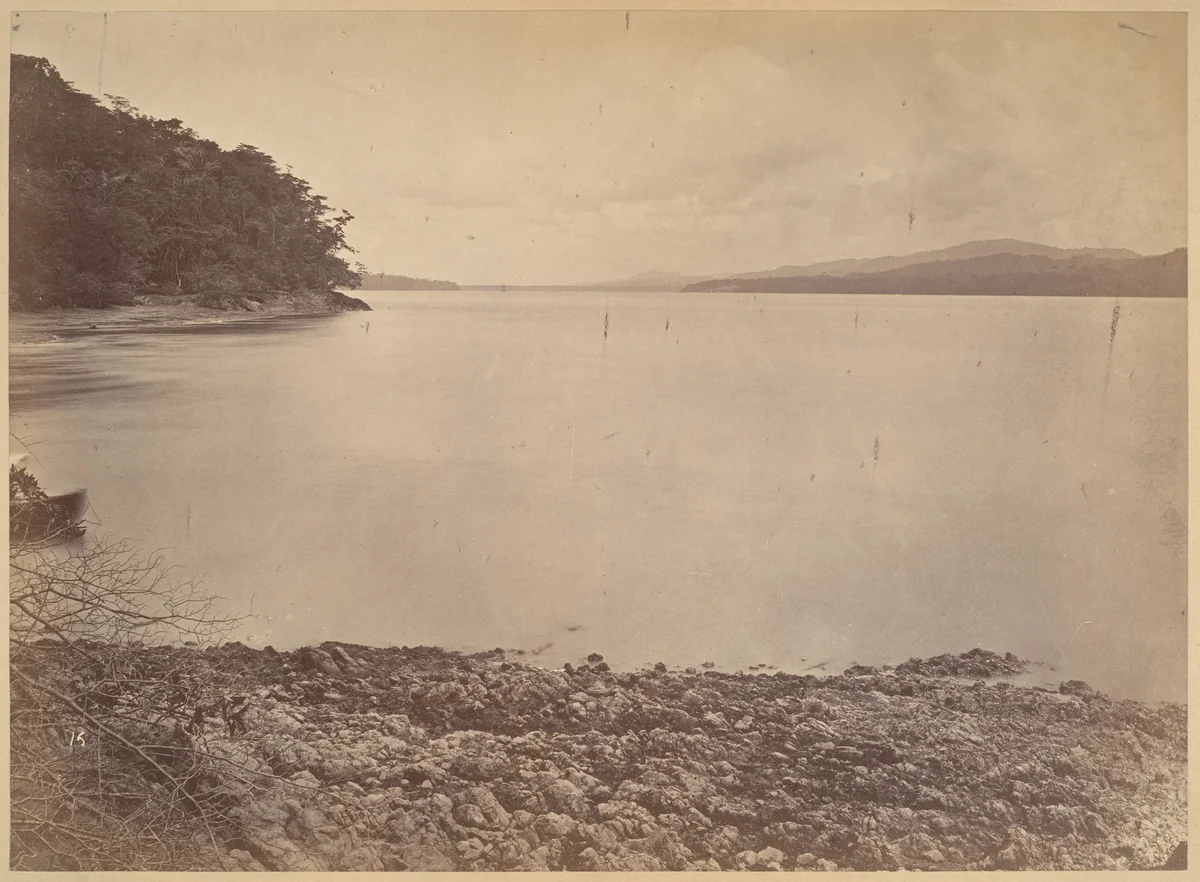 Tropical Scenery, Darien Harbor - Looking South by John Moran, photograph, 1871