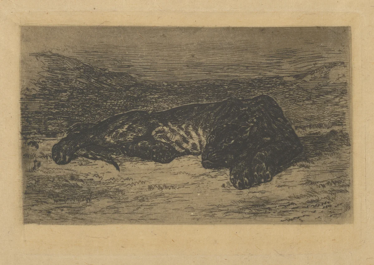 Tiger Lying in the Desert by Eugène Delacroix, print, 1846