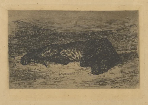Tiger Lying in the Desert by Eugène Delacroix, print, 1846
