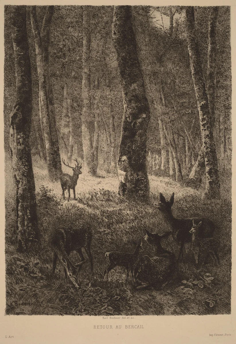 Retour au Bercail by Karl Bodmer, print, 1809-1893