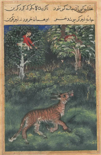 The donkey, in a tiger’s skin, reveals his identity by braying aloud, from a Tuti-nama (Tales of a Parrot): Thirty-first Night by Basavana, painting, 1555-1565
