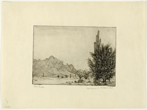 Palo Verde by Wallace DeWolf, print, 1918