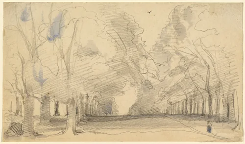 Avenue of Trees by John Hayter, drawing, 1800-1895
