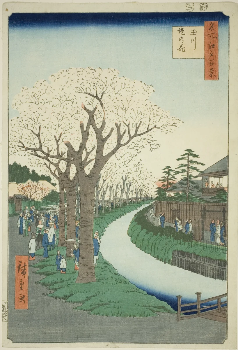 Blossoms on the Tama River Embankment (Tamagawa-zutsumi no hana), from the series "One Hundred Famous Views of Edo (Meisho Edo hyakkei)" by Utagawa Hiroshige (歌川広重), print, 1856