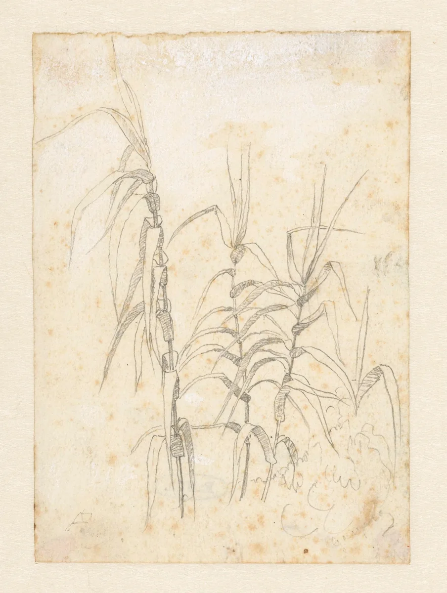 Beenbekleding van een krijgsman by Wybrand de Geest, drawing, 1602-1661