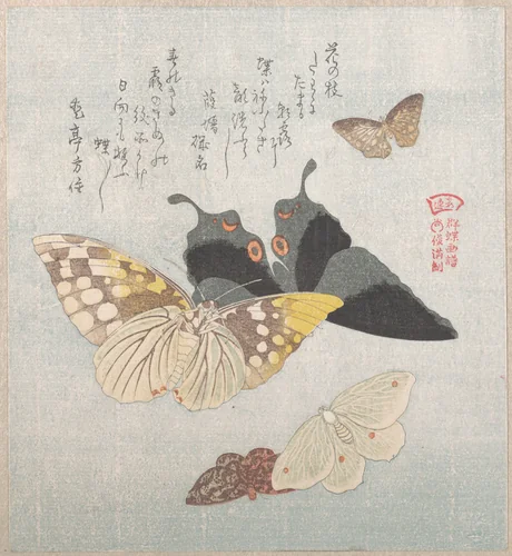 Various moths and butterflies by Kubo Shunman (窪俊満), print, 1800-1899