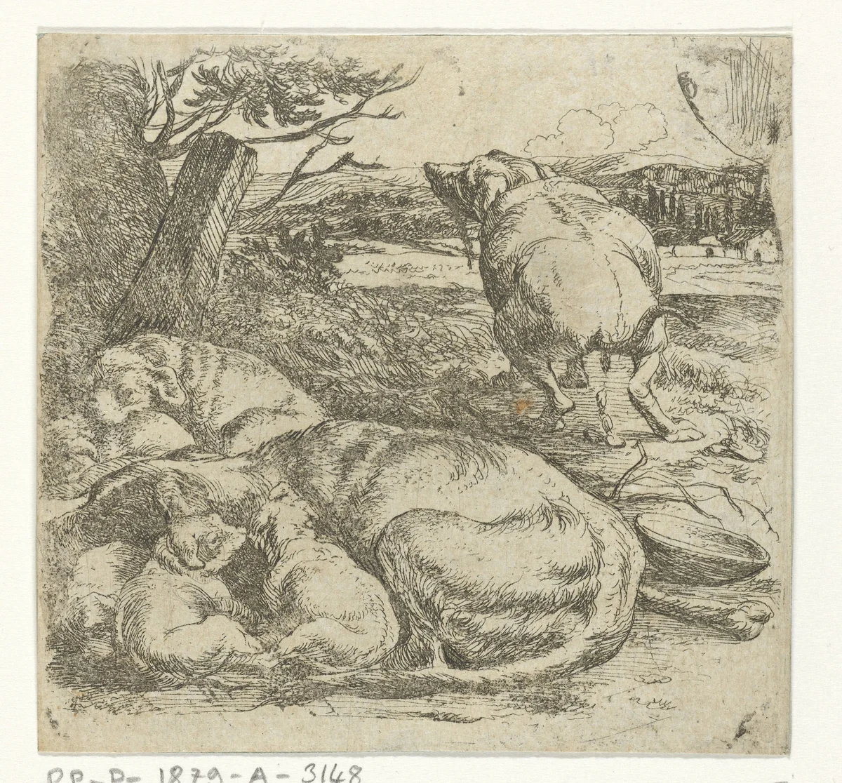 Teefje met puppies by Jan van Ossenbeeck, print, 1647-1674