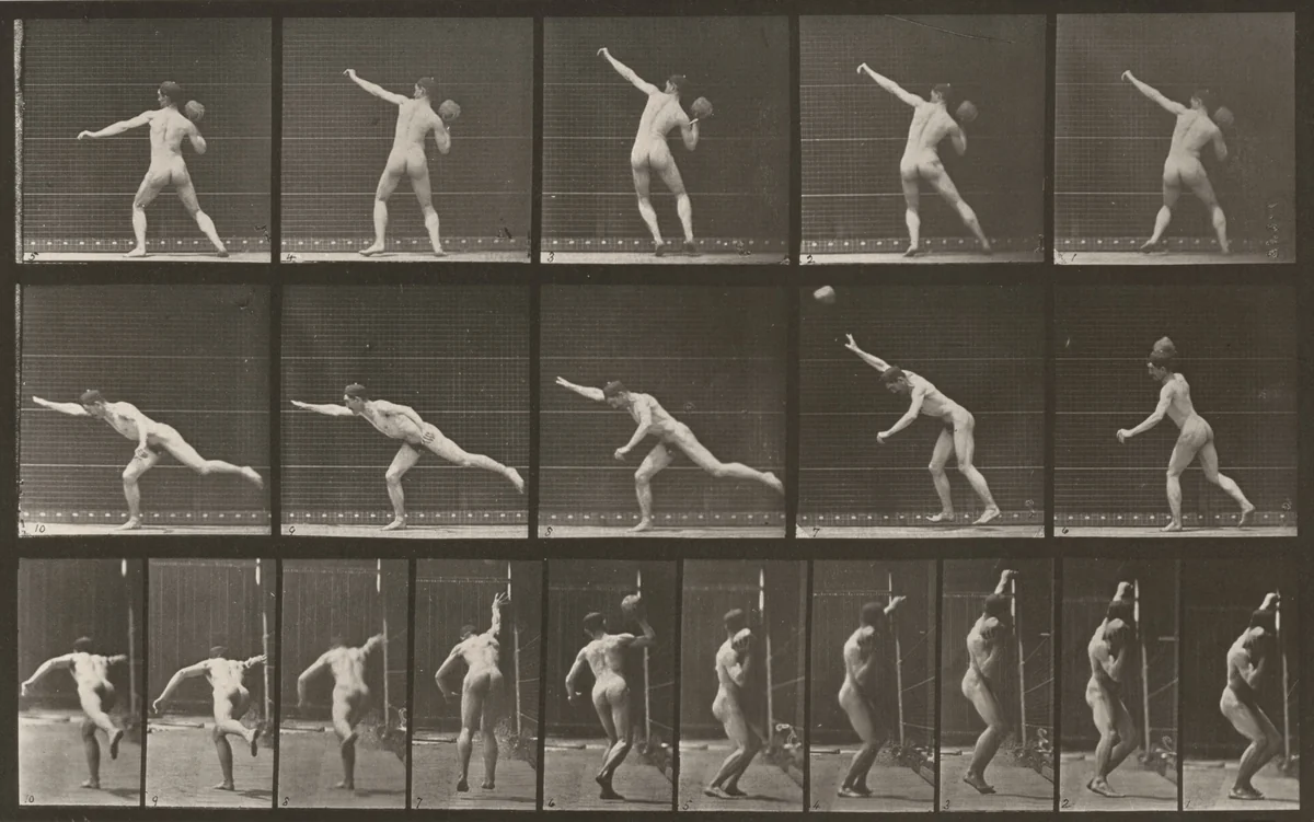 Plate Number 313. Heaving a 20-lb. rock by Eadweard Muybridge, photograph, 1887