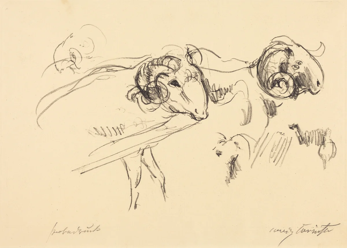 Schafböcke (Rams) by Lovis Corinth, print, 1912