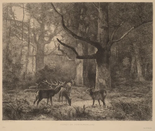 Forêt de Fontainebleau by Karl Bodmer, print, 1809-1893