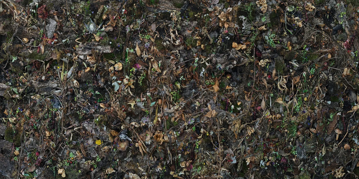 Woven No 4 by Tanya Marcuse, photograph, 2015