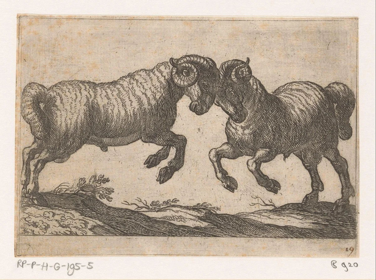 Twee vechtende rammen by Antonio Tempesta, print, 1600