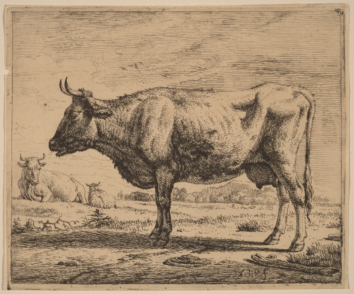 Two Cows and a Sheep by Adriaen van de Velde, print, 1657-1659