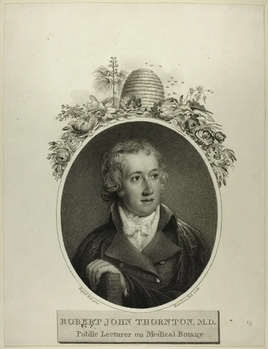 R. J. Thornton by Francesco Bartolozzi, print, 1747-1815