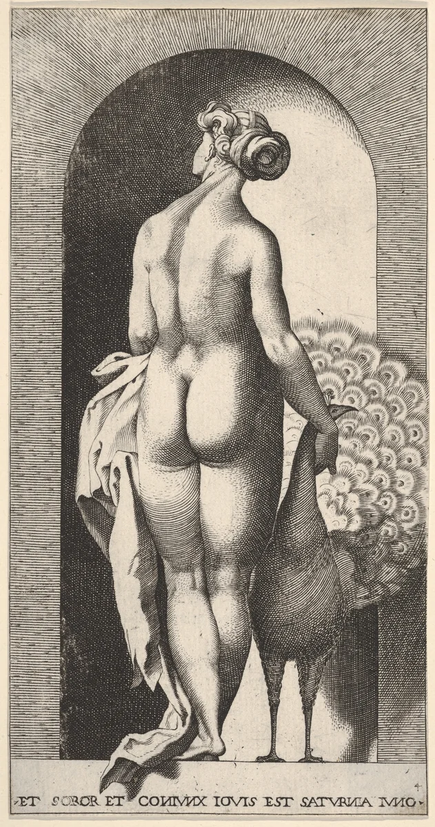 Plate 4: Juno standing in a niche, viewed from behind, stroking a peacock to her right, from "Mythological Gods and Goddesses" by Giovanni Jacopo Caraglio, print, 1526