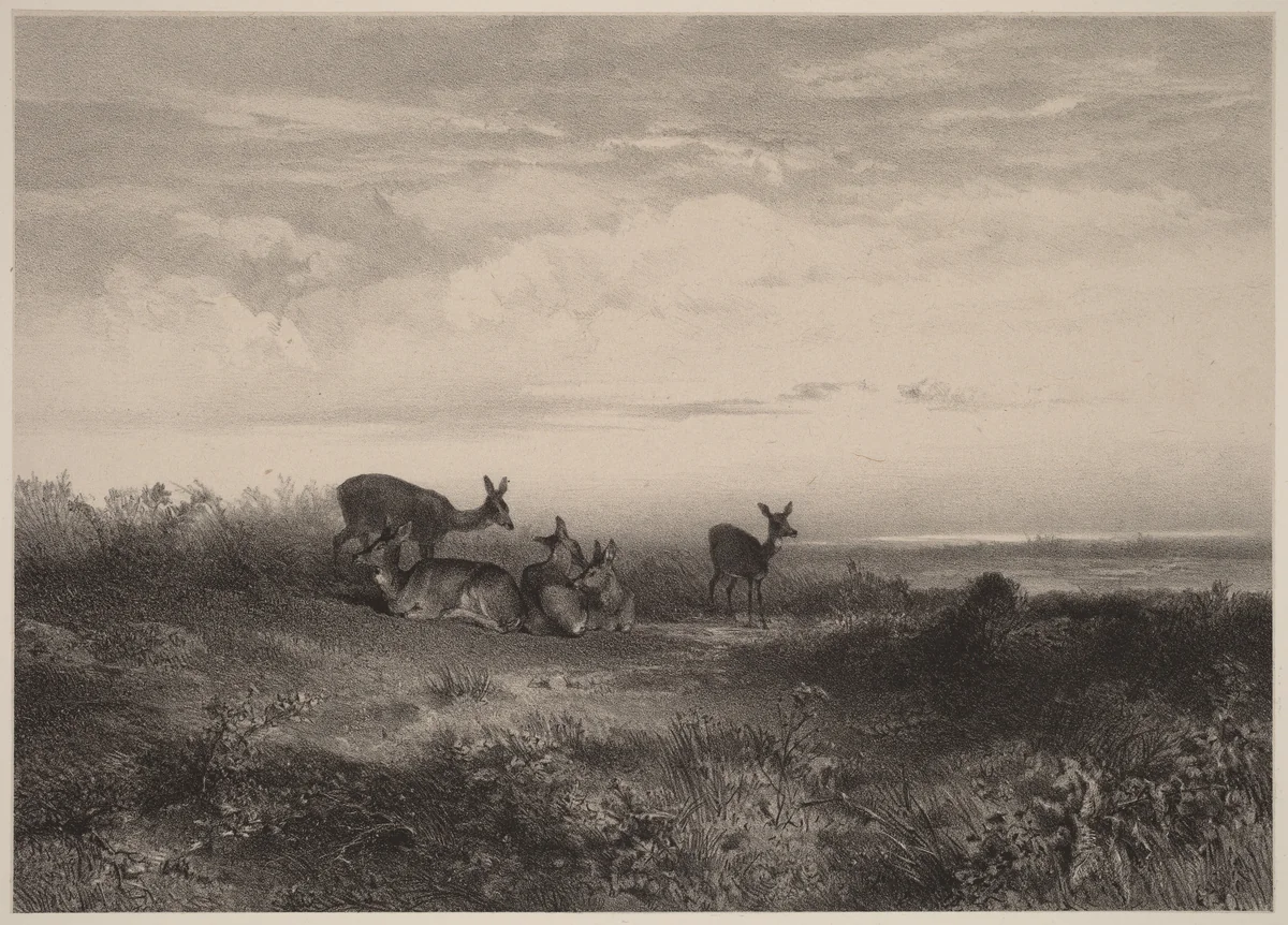 Les biches by Karl Bodmer, print, 1809-1893
