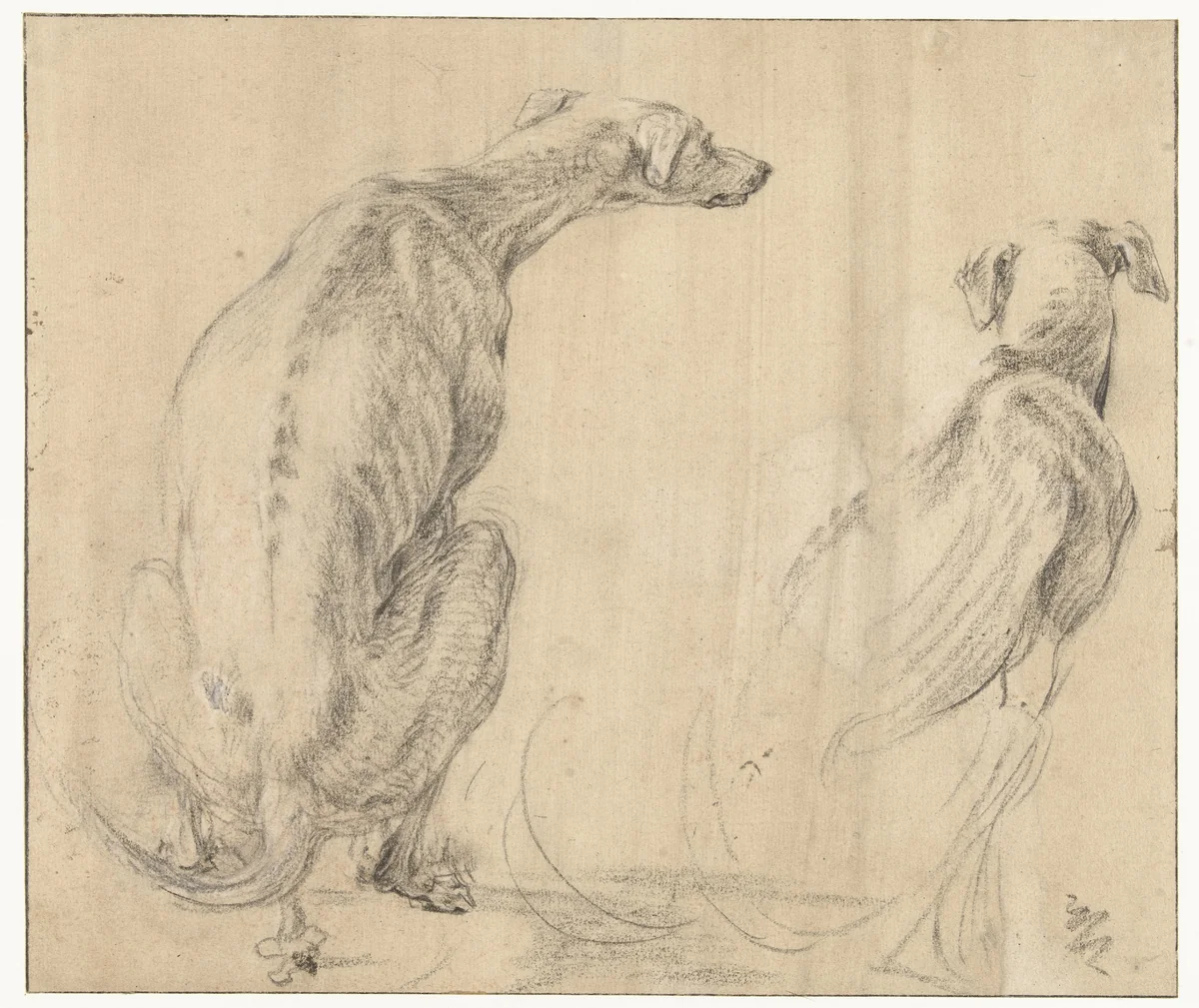 Een zittende hond, zich ontlastend, van opzij en van achteren gezien by Frans Snijders, drawing, 1589-1657