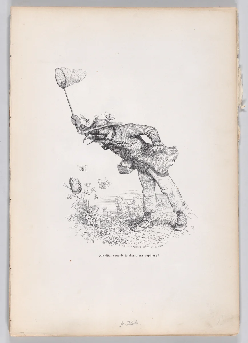 What do you say about the butterfly hunt?, from "Scenes from the Private and Public Life of Animals" by J. J. Grandville, print, 1832-1852