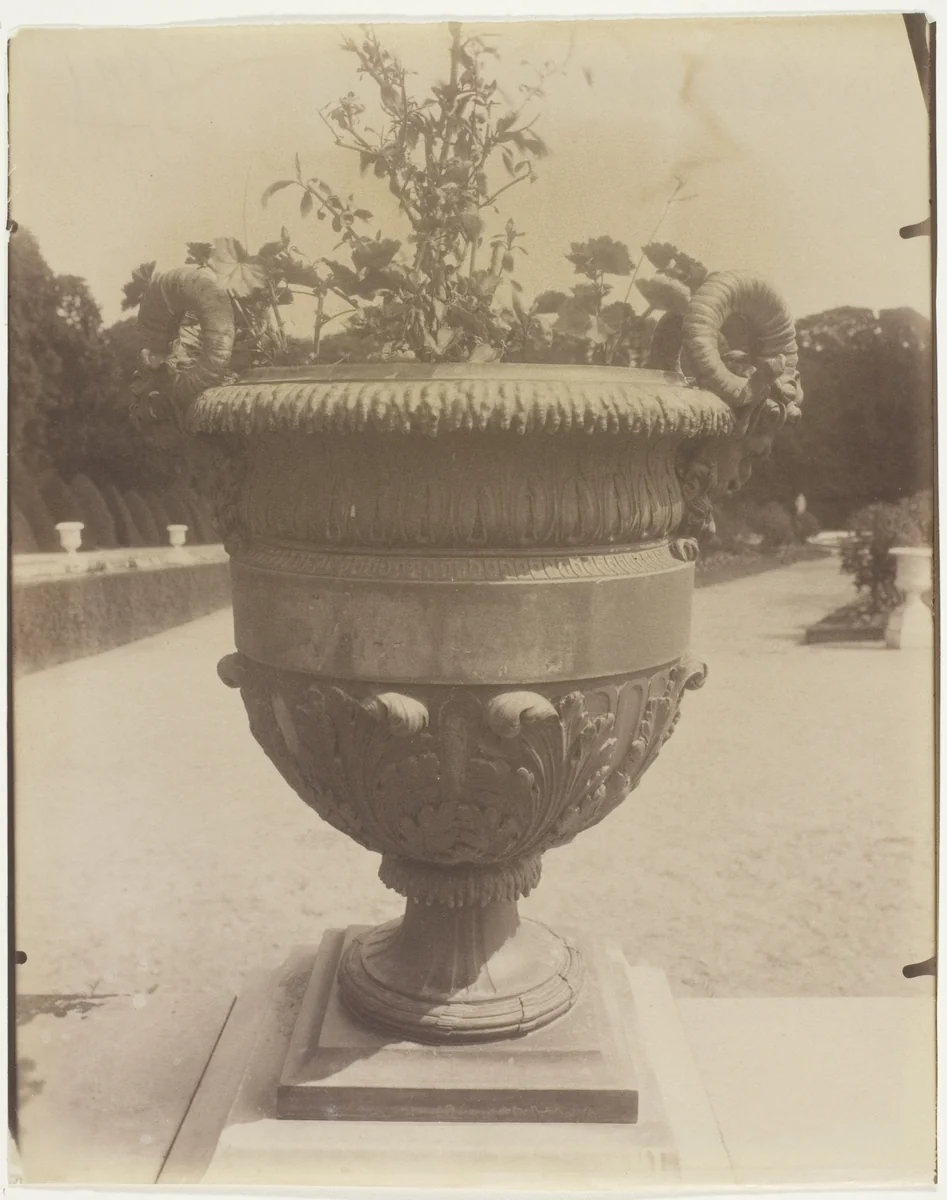 Versailles, Vase par Ballin by Jean-Eugène-Auguste Atget, photograph, 1905