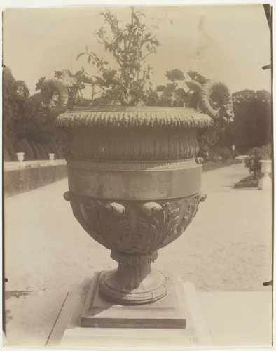 Versailles, Vase par Ballin by Jean-Eugène-Auguste Atget, photograph, 1905